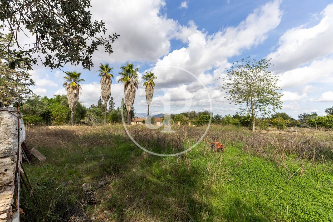 3 sypialnia Willa na sprzedaż w Sineu z basenem - 620 000 € (Ref: 10166623)