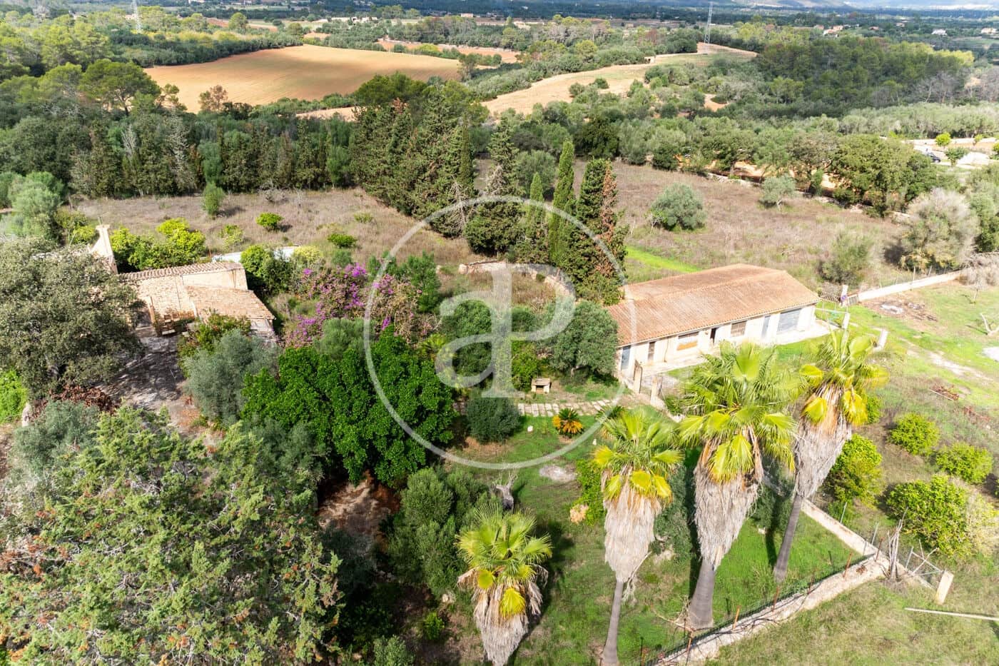 3 sypialnia Willa na sprzedaż w Sineu z basenem - 620 000 € (Ref: 10166623)