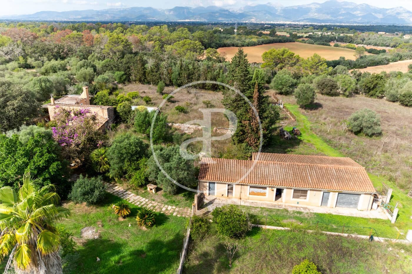 3 sypialnia Willa na sprzedaż w Sineu z basenem - 620 000 € (Ref: 10166623)