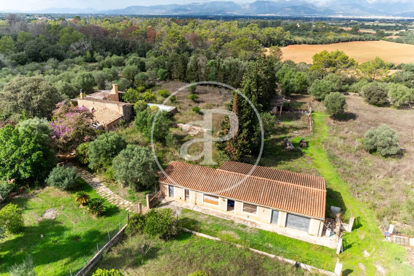 3 sypialnia Willa na sprzedaż w Sineu z basenem - 620 000 € (Ref: 10166623)