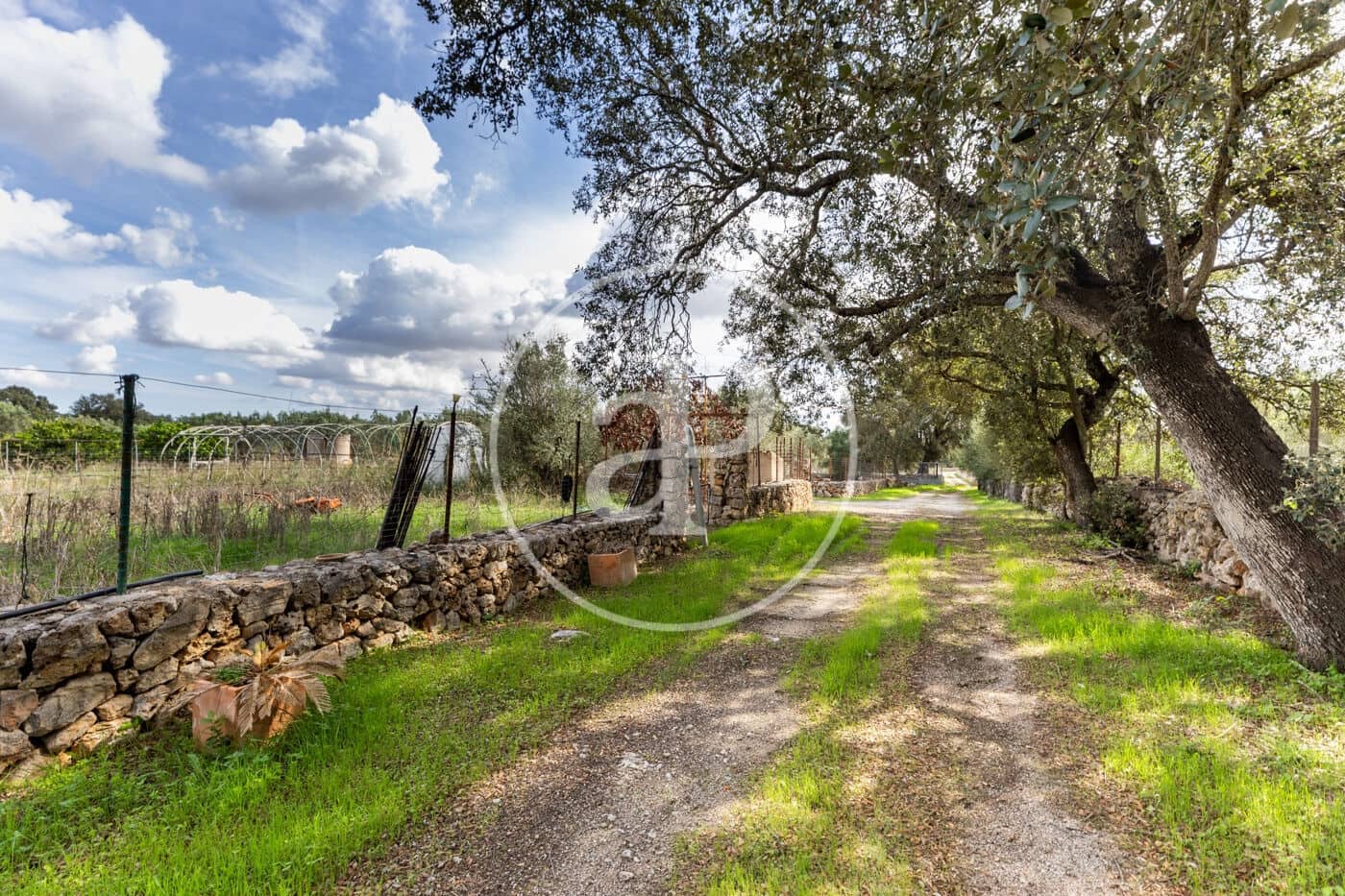 3 sypialnia Willa na sprzedaż w Sineu z basenem - 620 000 € (Ref: 10166623)