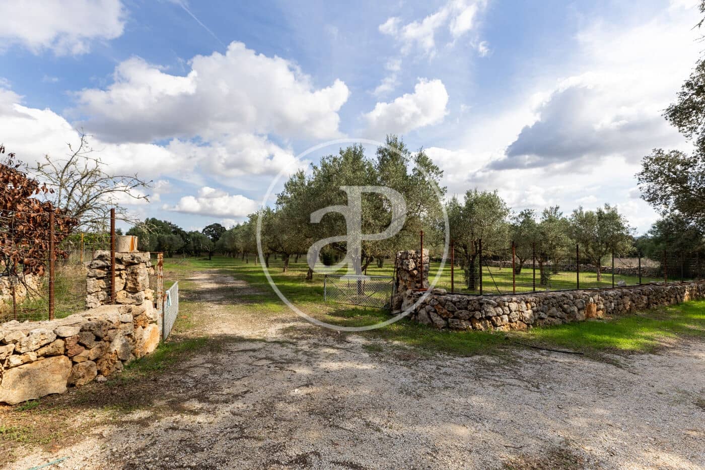 3 sypialnia Willa na sprzedaż w Sineu z basenem - 620 000 € (Ref: 10166623)