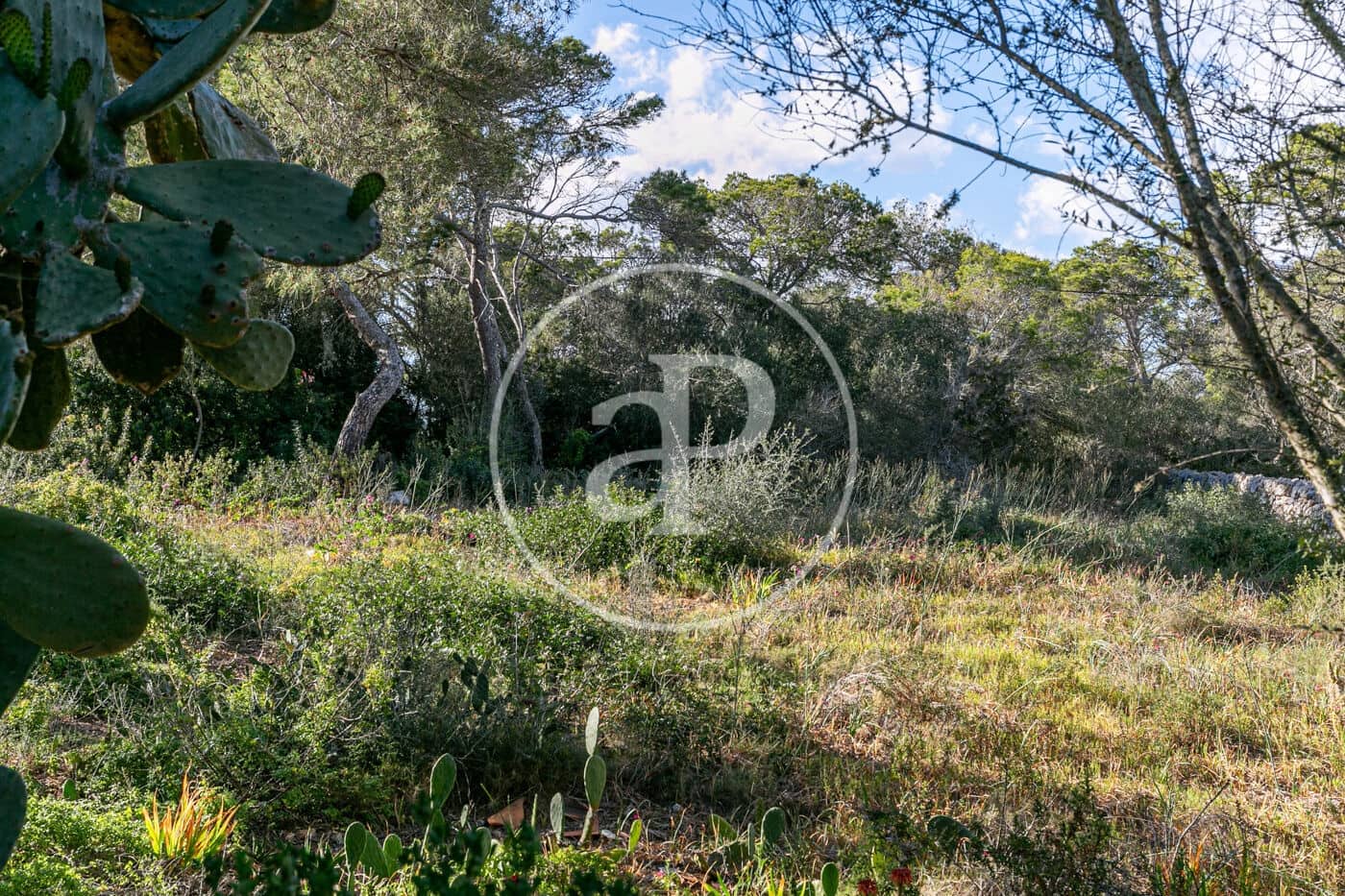 3 slaapkamer Villa te koop in Cala Figuera met zwembad garage - € 1.490.000 (Ref: 10182986)