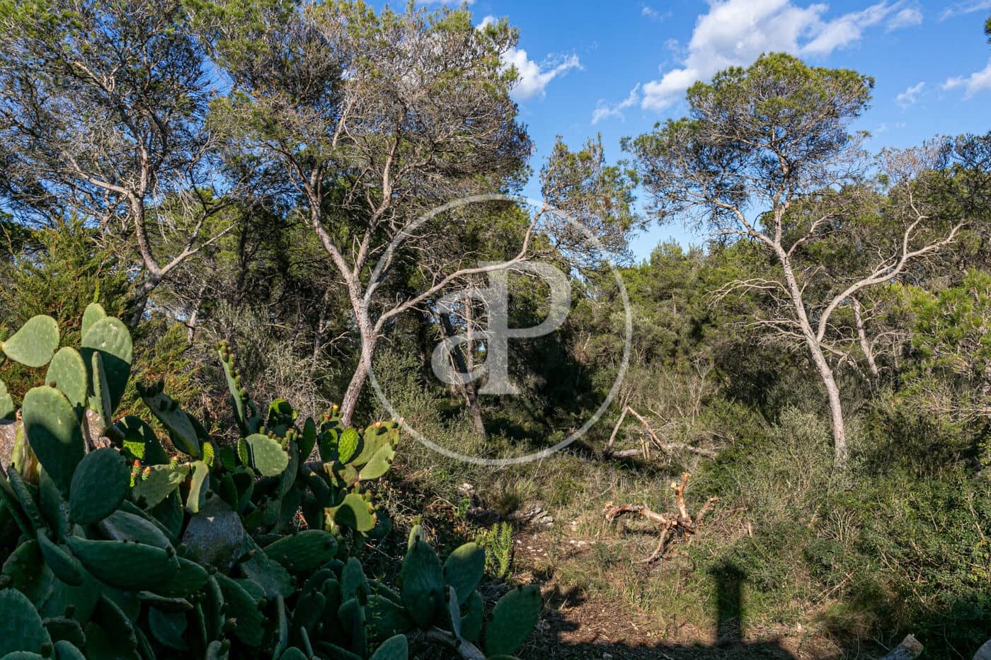 3 slaapkamer Villa te koop in Cala Figuera met zwembad garage - € 1.490.000 (Ref: 10182986)