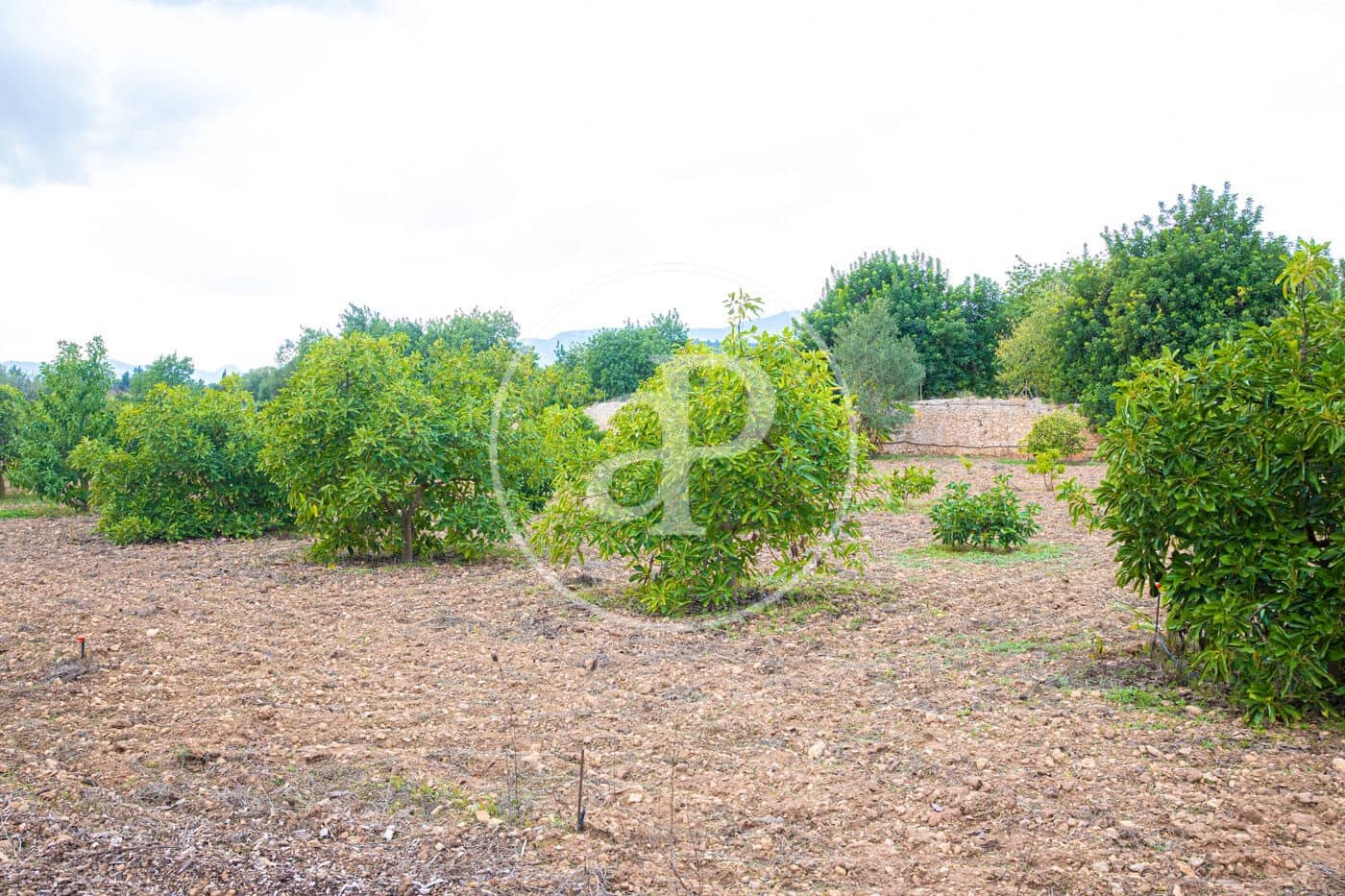 4 soverom Villa til salgs i Son Sardina med svømmebasseng - € 1 995 000 (Ref: 8718831)