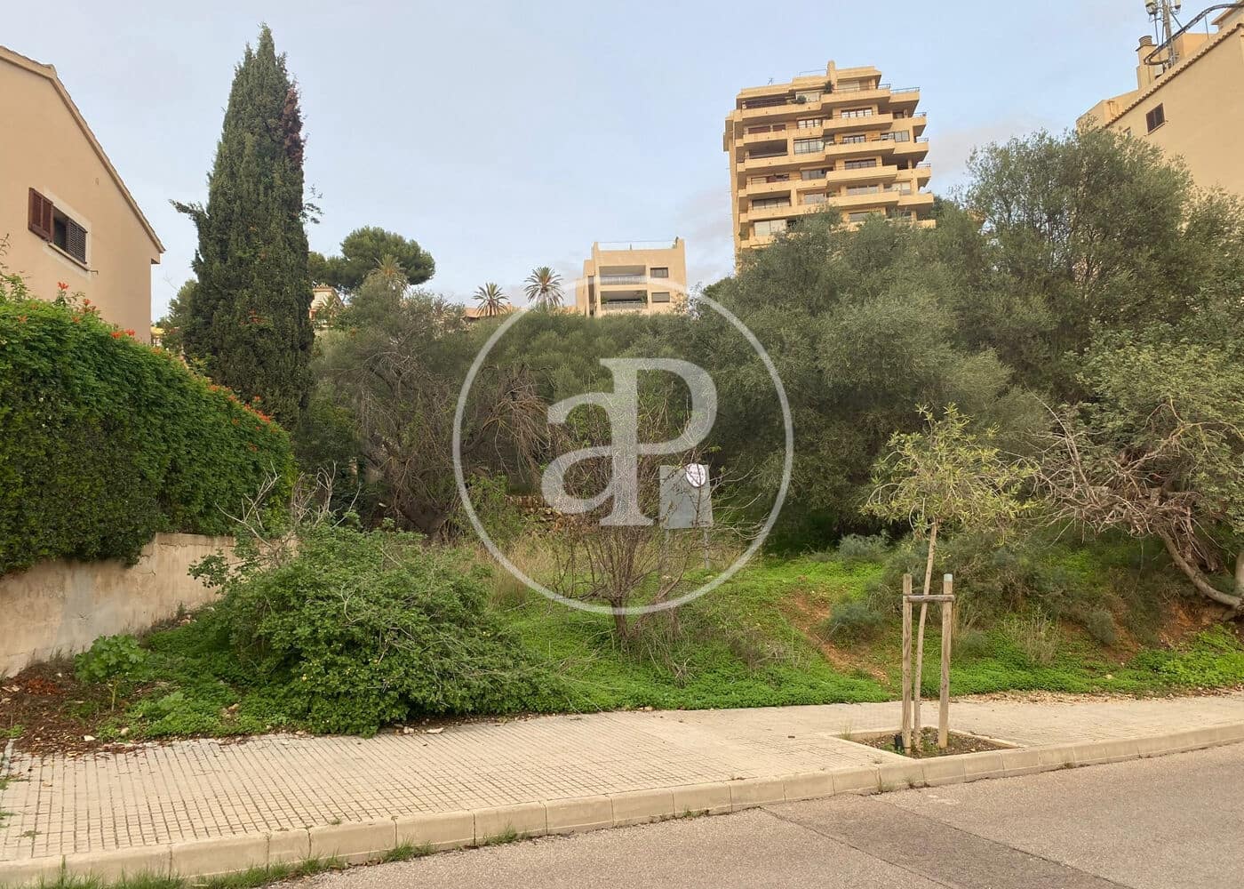 Teren niezagospodarowany na sprzedaż w Palma de Mallorca - 900 000 € (Ref: 8718896)