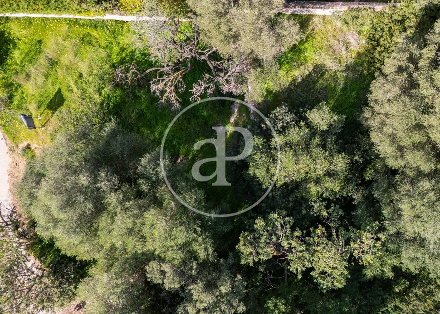 Teren niezagospodarowany na sprzedaż w Palma de Mallorca - 900 000 € (Ref: 8718896)