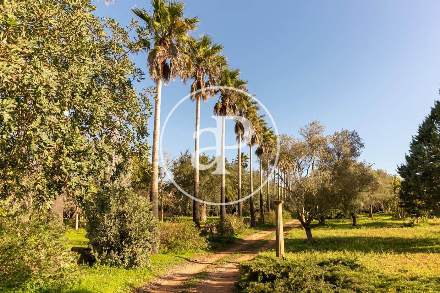 4 Zimmer Villa zu verkaufen in Felanitx - 2.200.000 € (Ref: 8718900)