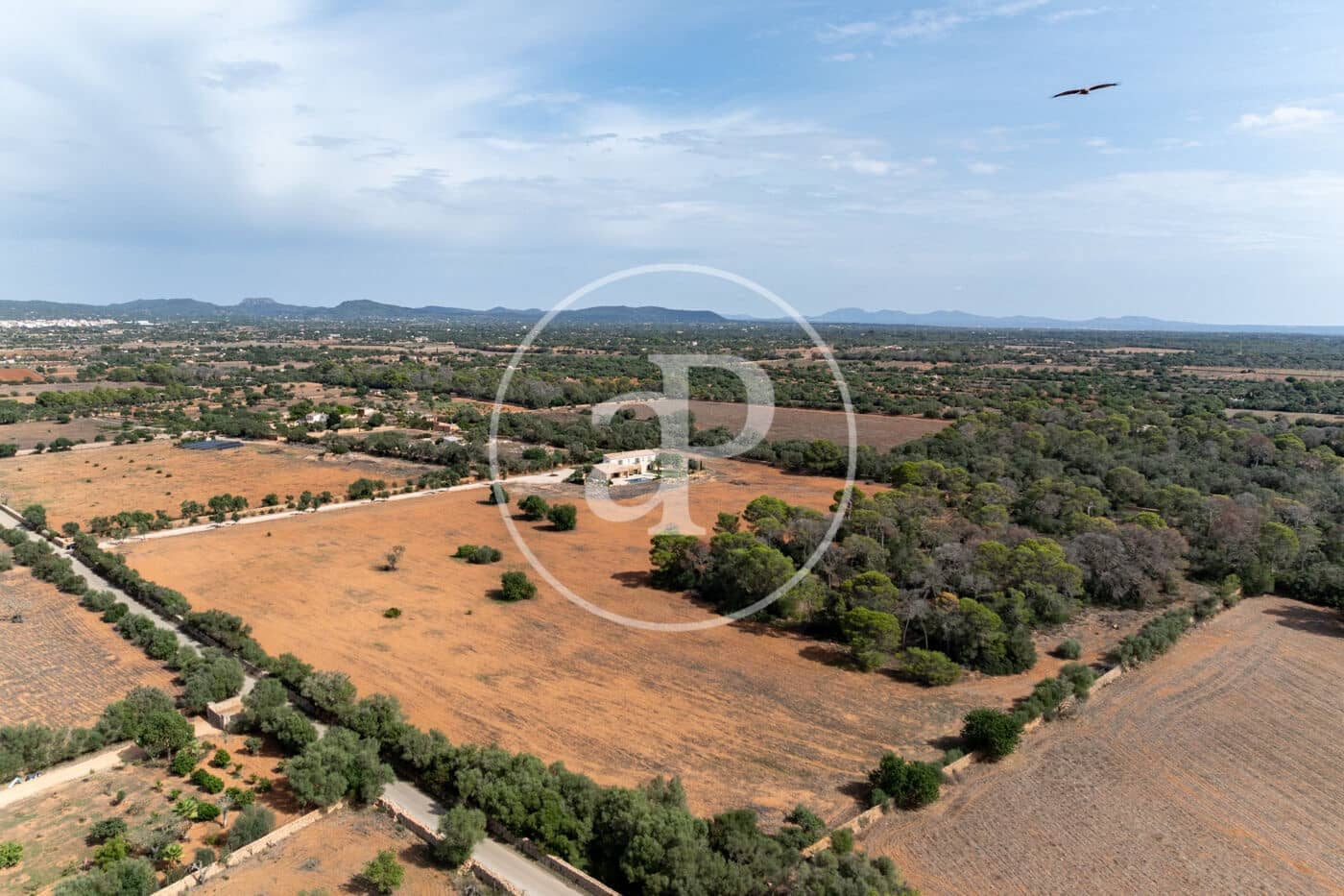 4 soveværelse Villa til salg i Llucmajor med swimmingpool - € 3.950.000 (Ref: 8718901)