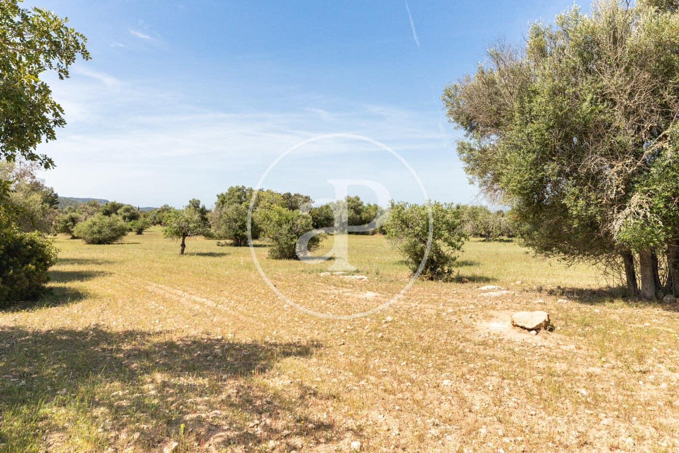 Terre non Aménagée à vendre à Felanitx - 250 000 € (Ref: 8718926)