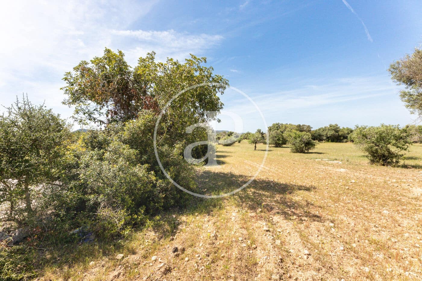 Terre non Aménagée à vendre à Felanitx - 250 000 € (Ref: 8718926)