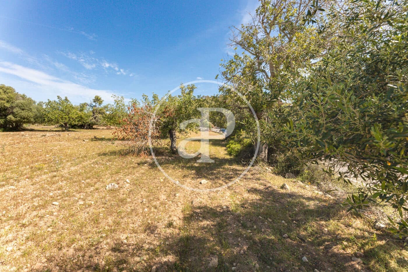 Terre non Aménagée à vendre à Felanitx - 250 000 € (Ref: 8718926)