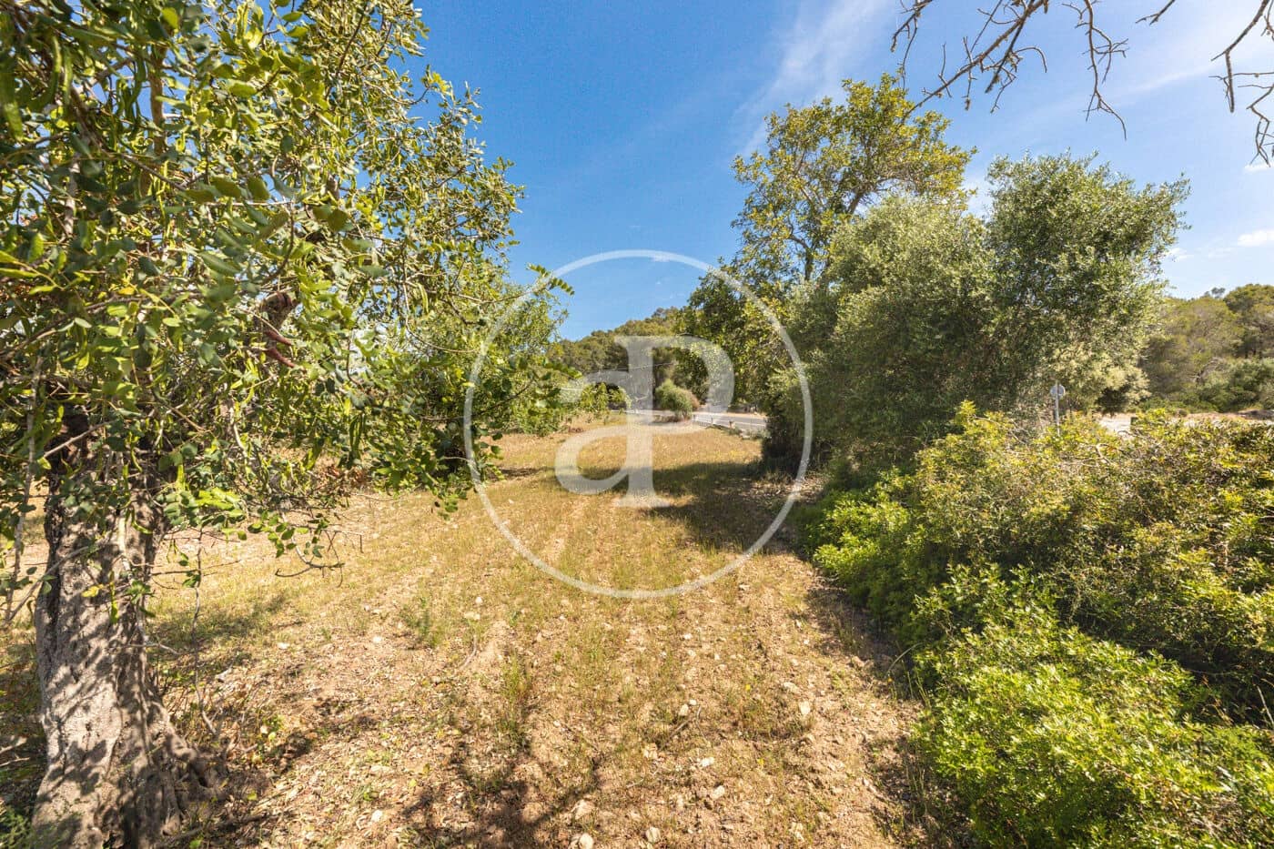 Terre non Aménagée à vendre à Felanitx - 250 000 € (Ref: 8718926)