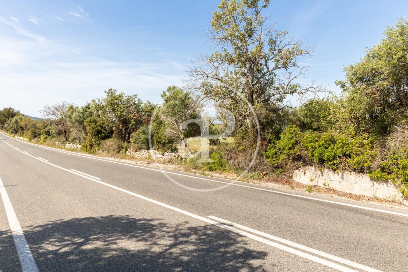 Terre non Aménagée à vendre à Felanitx - 250 000 € (Ref: 8718926)