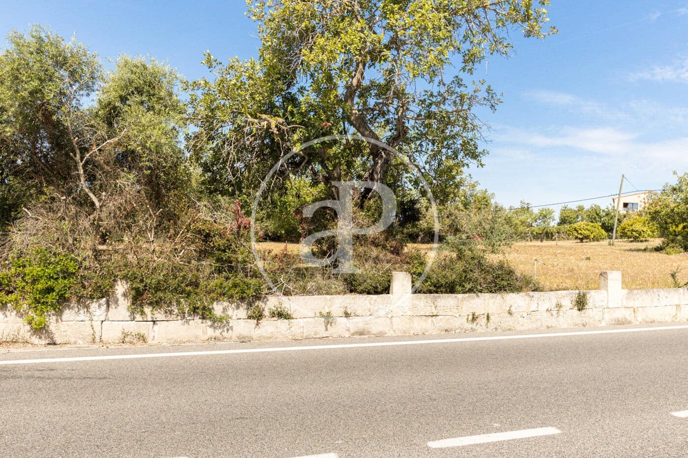 Terre non Aménagée à vendre à Felanitx - 250 000 € (Ref: 8718926)