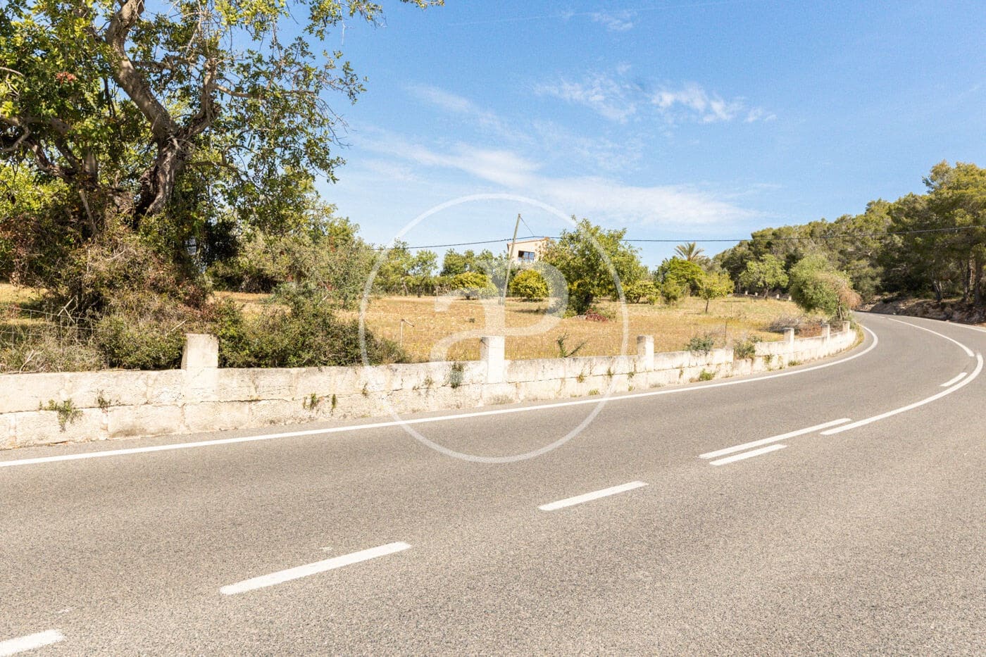 Terre non Aménagée à vendre à Felanitx - 250 000 € (Ref: 8718926)