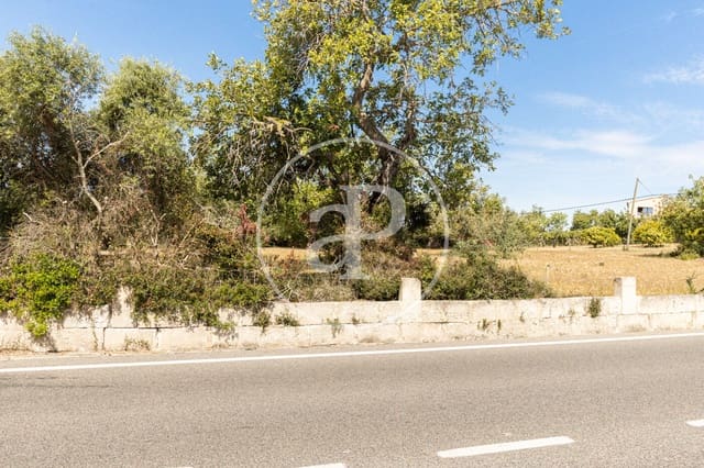 Undeveloped Land for sale in Felanitx - € 250,000 (Ref: 8718926)