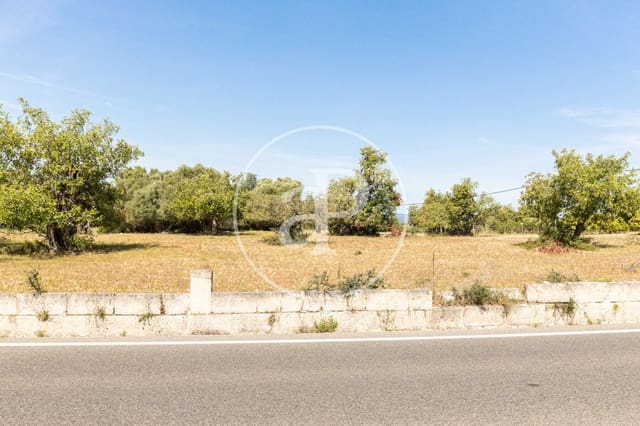 Undeveloped Land for sale in Felanitx - € 250,000 (Ref: 8718926)