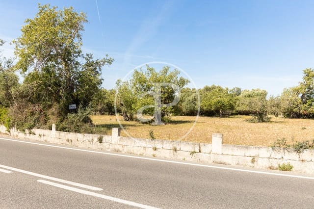 Undeveloped Land for sale in Felanitx - € 250,000 (Ref: 8718926)