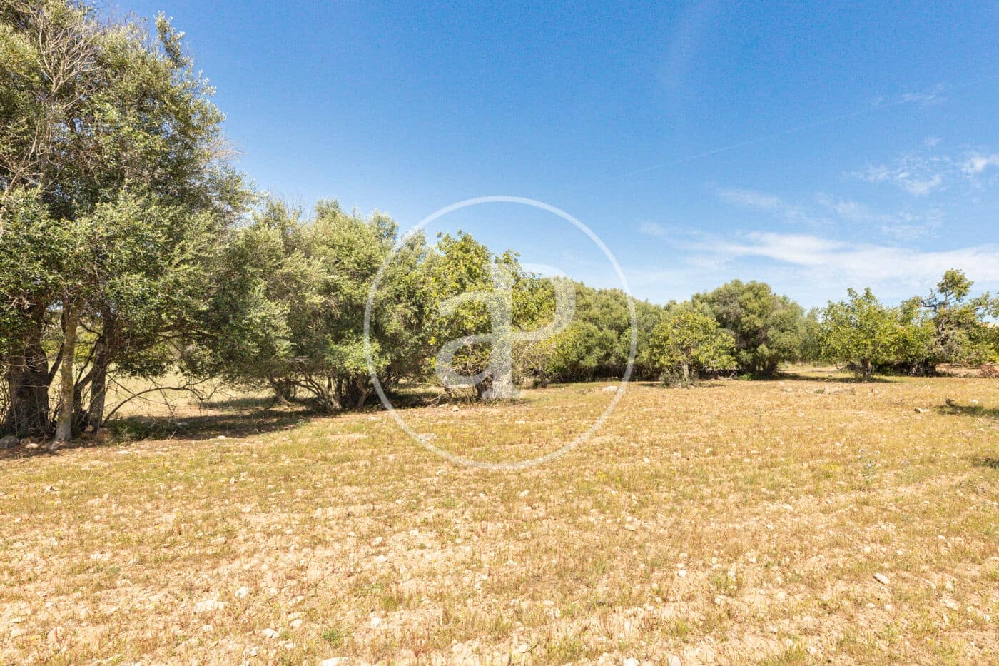 Terre non Aménagée à vendre à Felanitx - 250 000 € (Ref: 8718926)