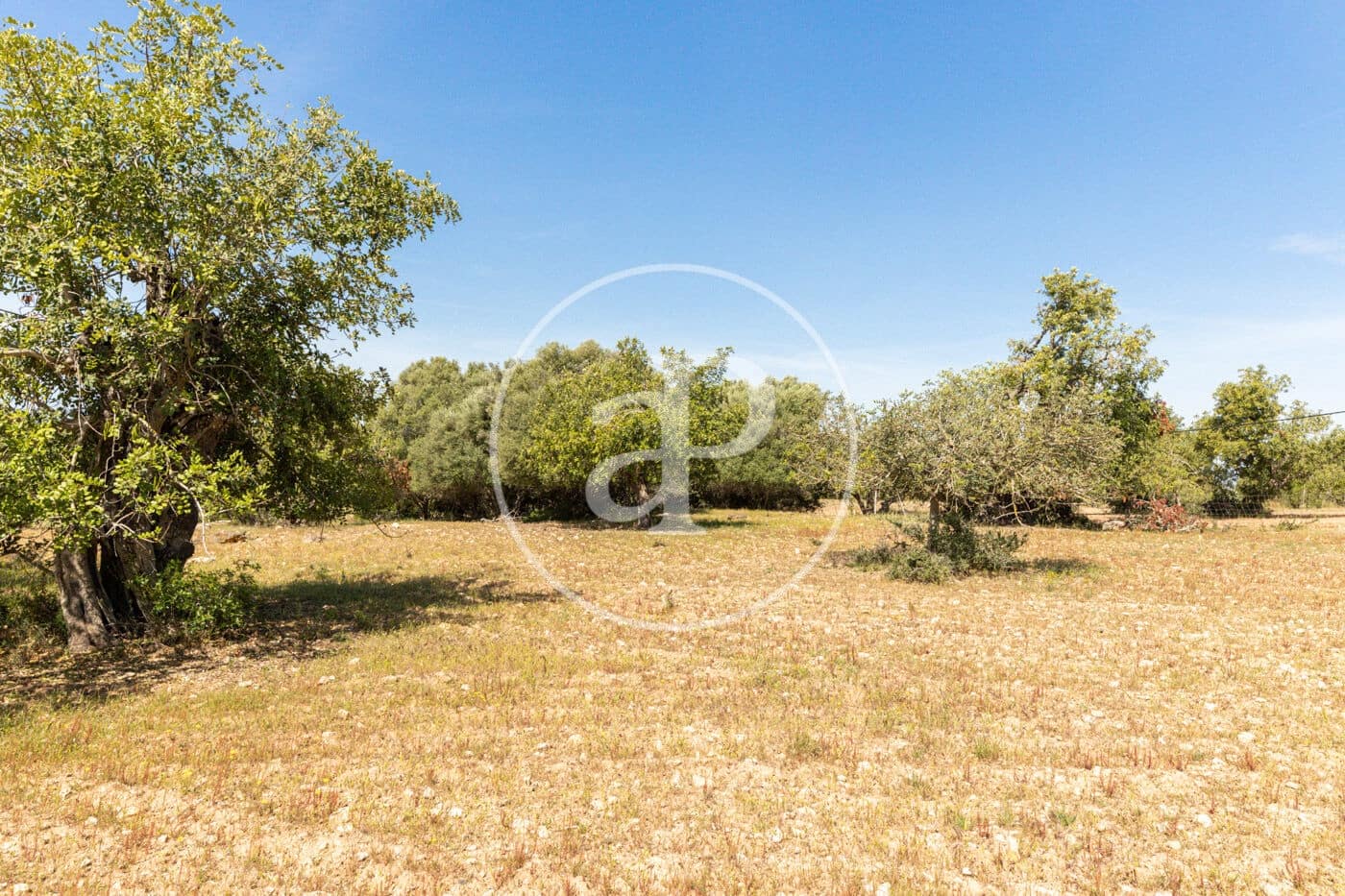 Terre non Aménagée à vendre à Felanitx - 250 000 € (Ref: 8718926)