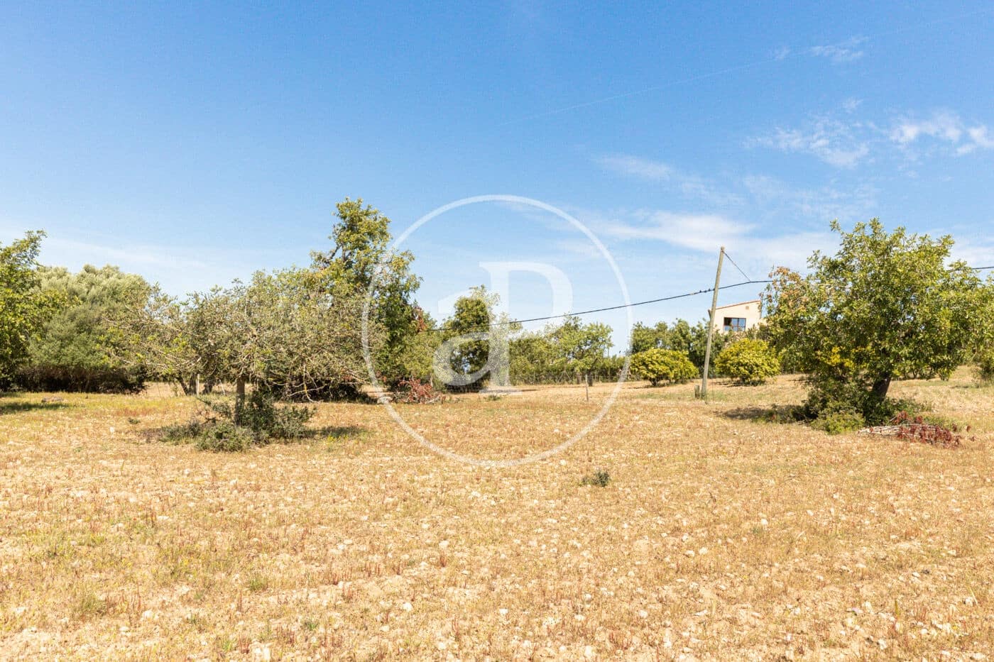 Terre non Aménagée à vendre à Felanitx - 250 000 € (Ref: 8718926)