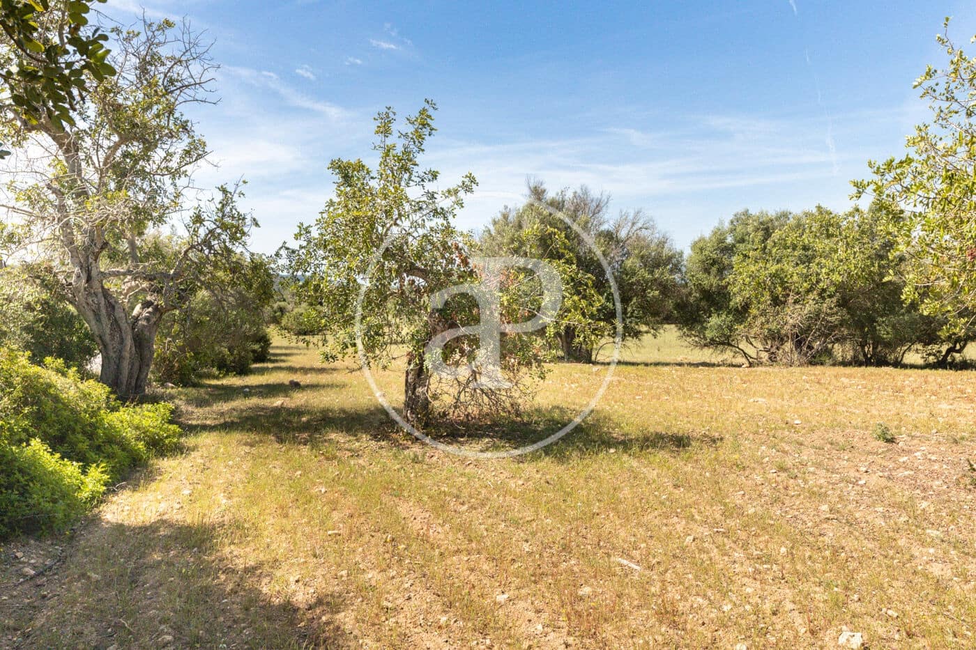 Terre non Aménagée à vendre à Felanitx - 250 000 € (Ref: 8718926)