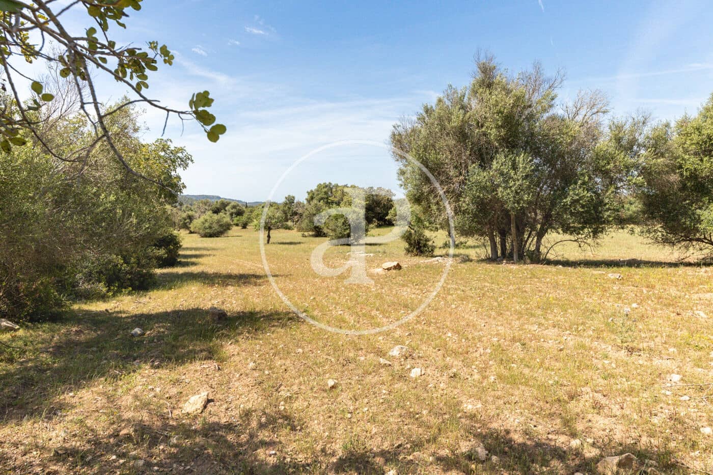 Terre non Aménagée à vendre à Felanitx - 250 000 € (Ref: 8718926)