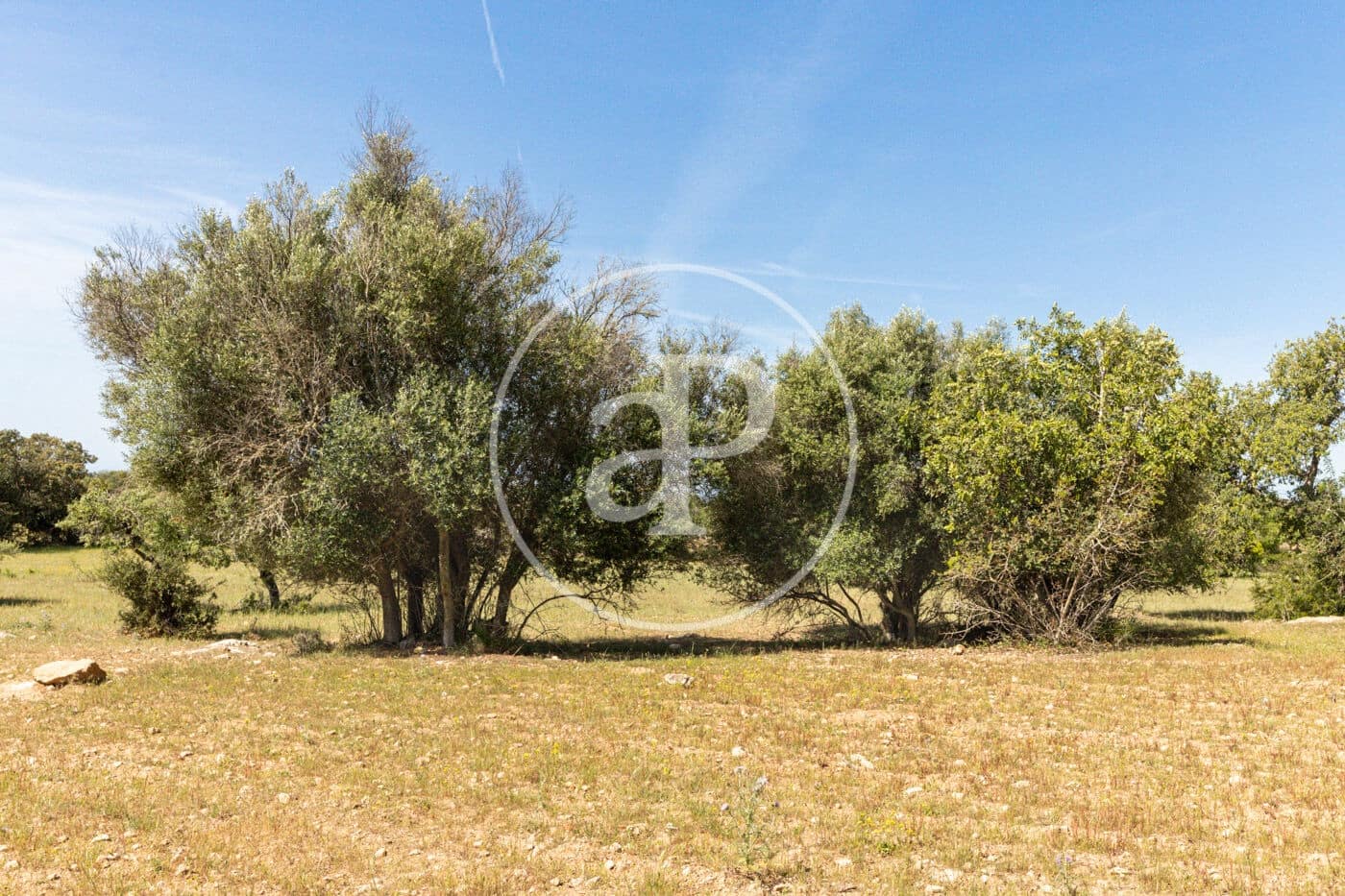 Terre non Aménagée à vendre à Felanitx - 250 000 € (Ref: 8718926)