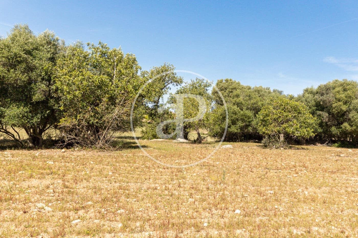 Terre non Aménagée à vendre à Felanitx - 250 000 € (Ref: 8718926)