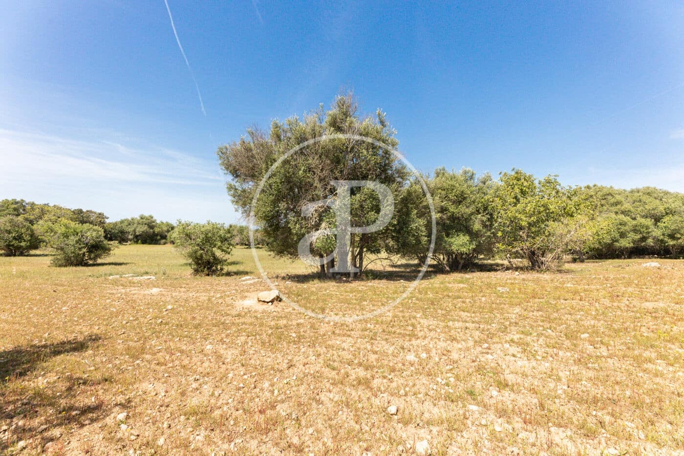 Terre non Aménagée à vendre à Felanitx - 250 000 € (Ref: 8718926)