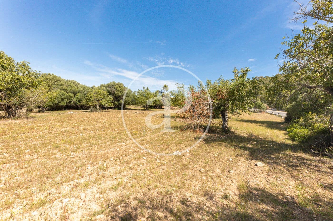 Terre non Aménagée à vendre à Felanitx - 250 000 € (Ref: 8718926)