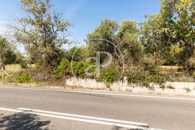 Undeveloped Land for sale in Felanitx - € 250,000 (Ref: 8718926)