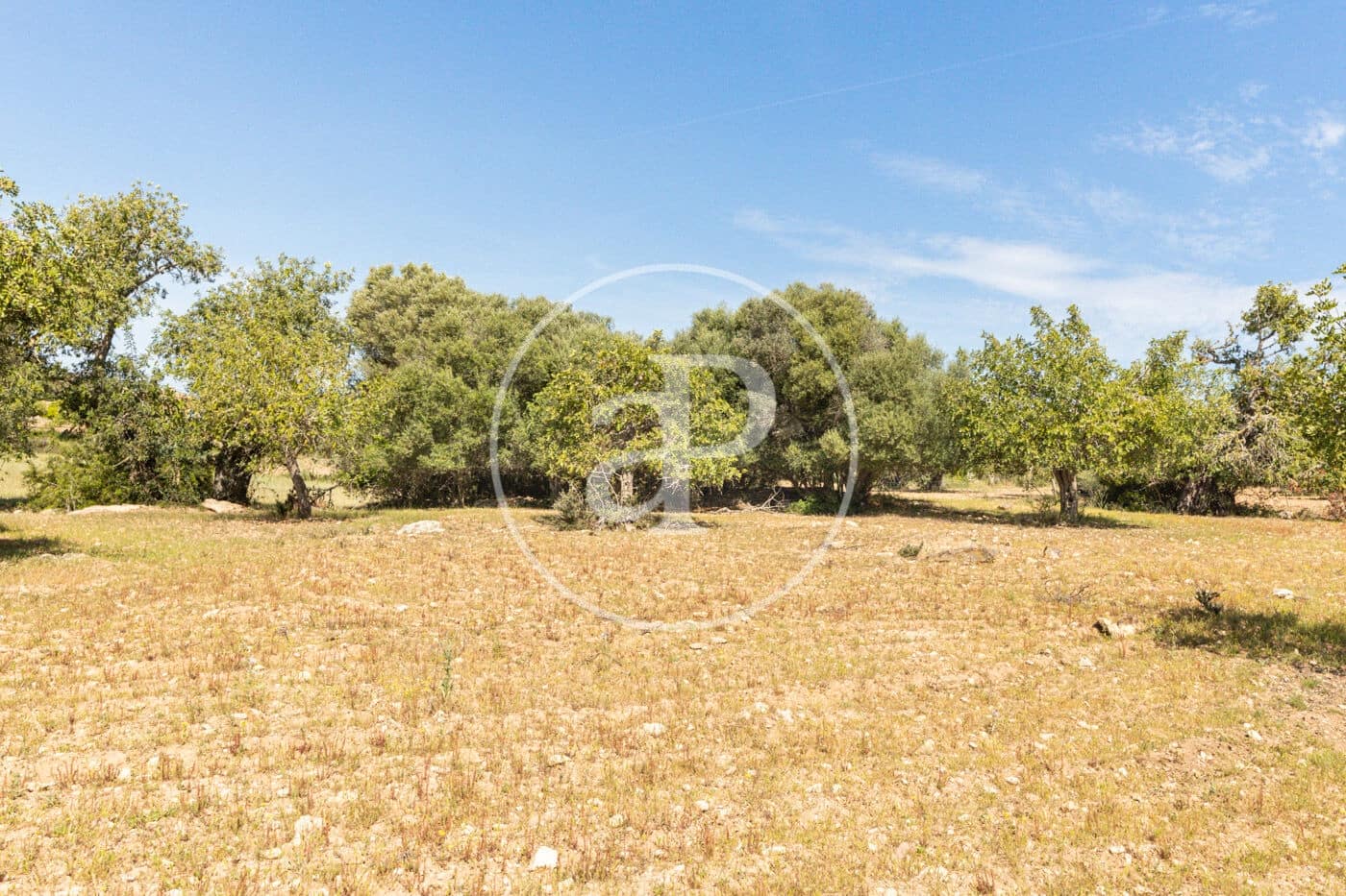 Terre non Aménagée à vendre à Felanitx - 250 000 € (Ref: 8718926)