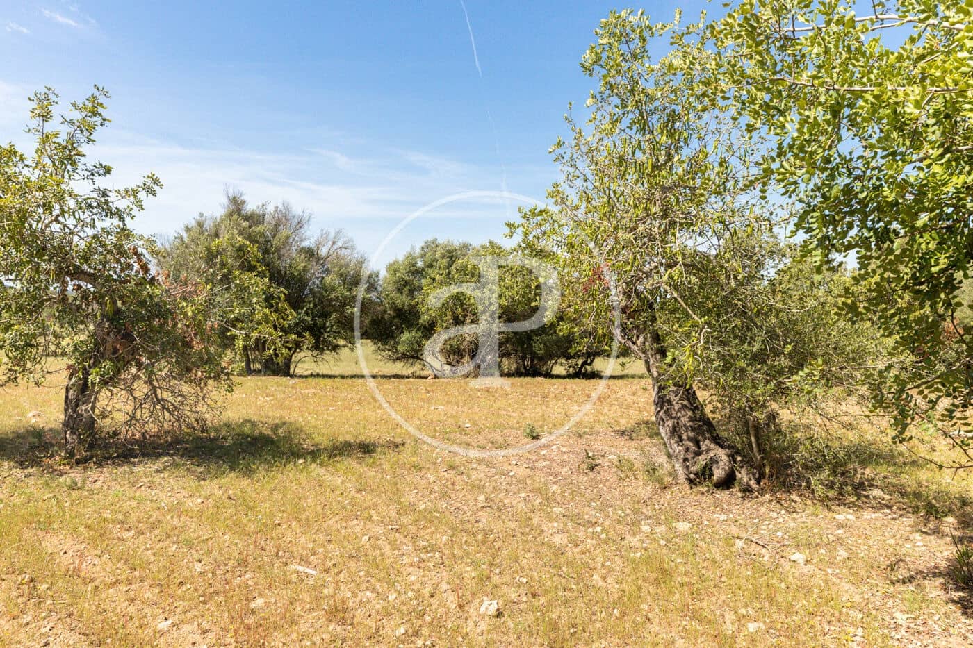 Terre non Aménagée à vendre à Felanitx - 250 000 € (Ref: 8718926)