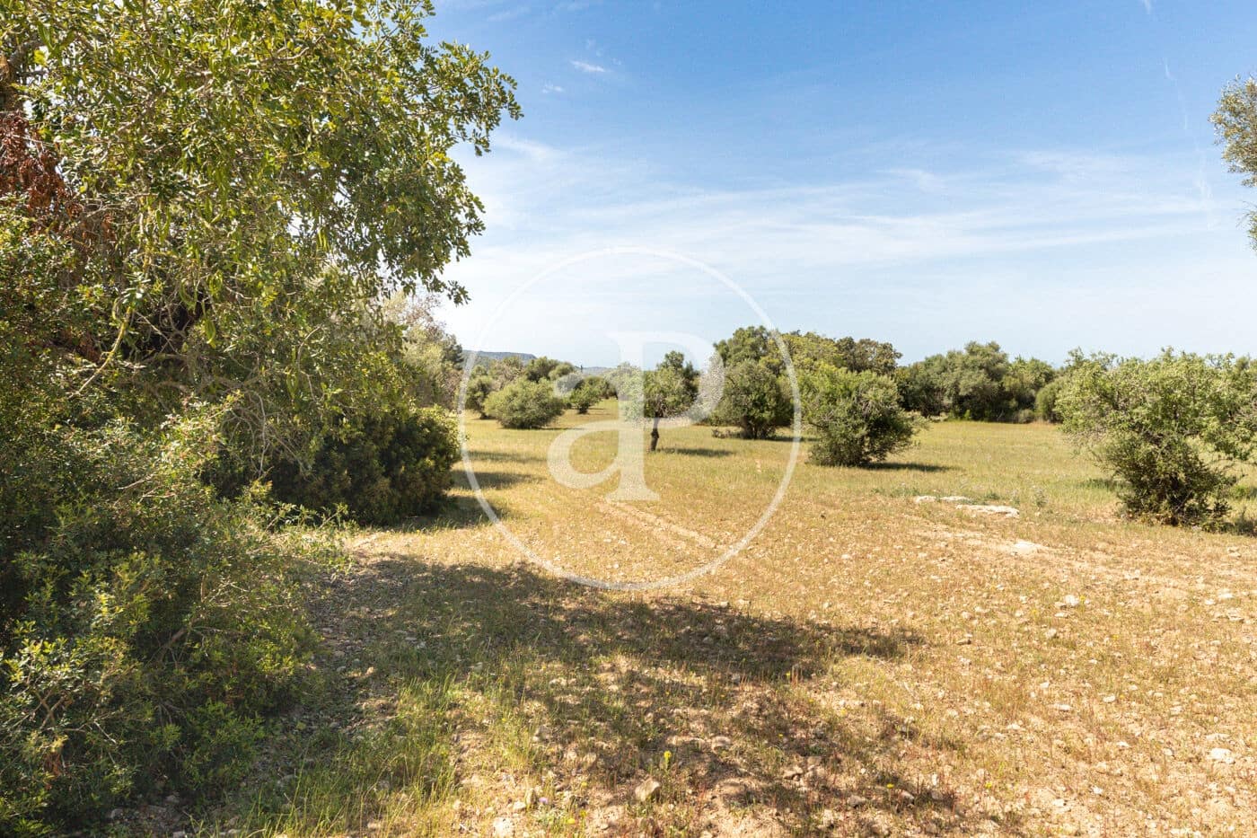 Terre non Aménagée à vendre à Felanitx - 250 000 € (Ref: 8718926)