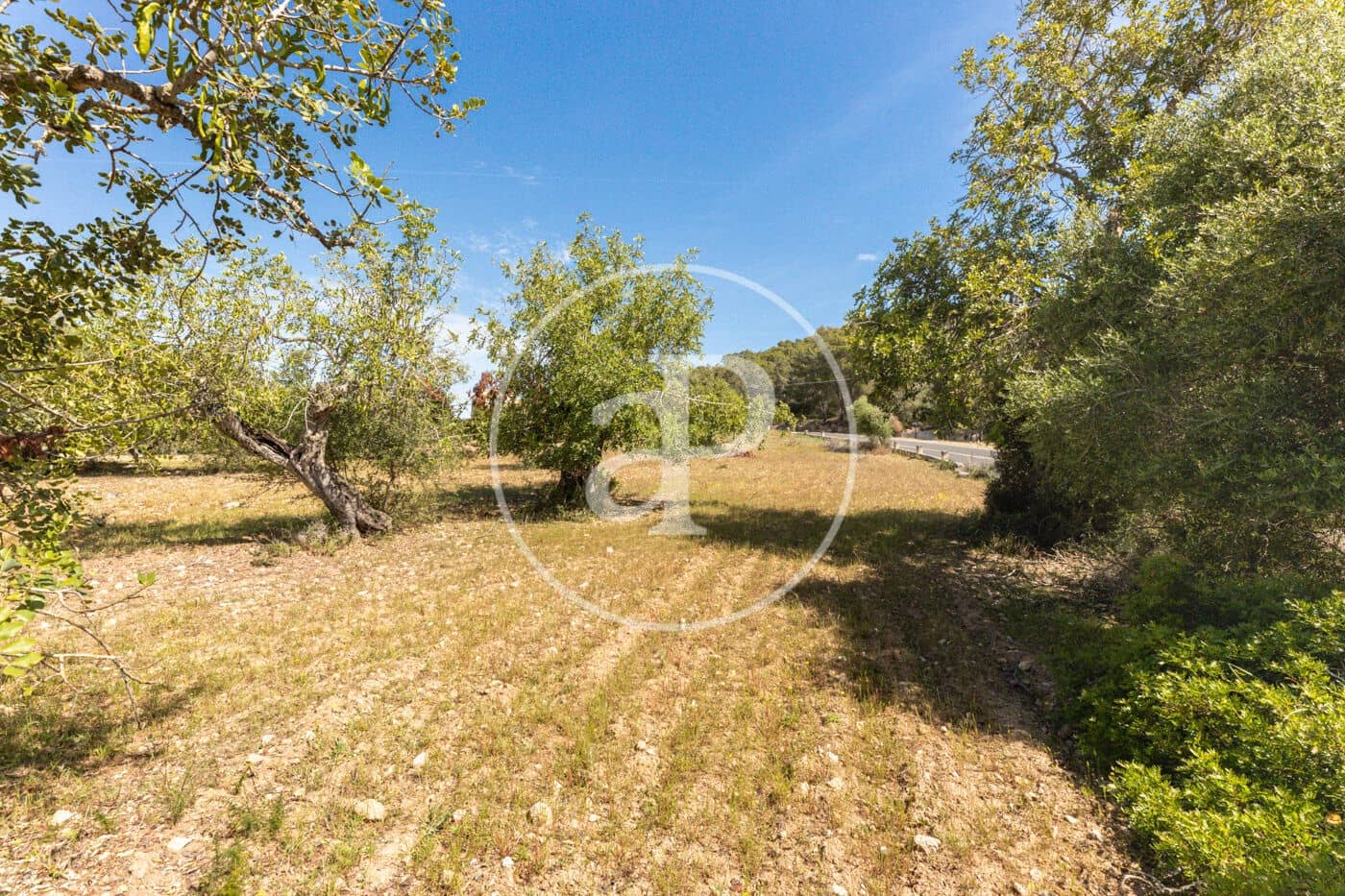 Terre non Aménagée à vendre à Felanitx - 250 000 € (Ref: 8718926)