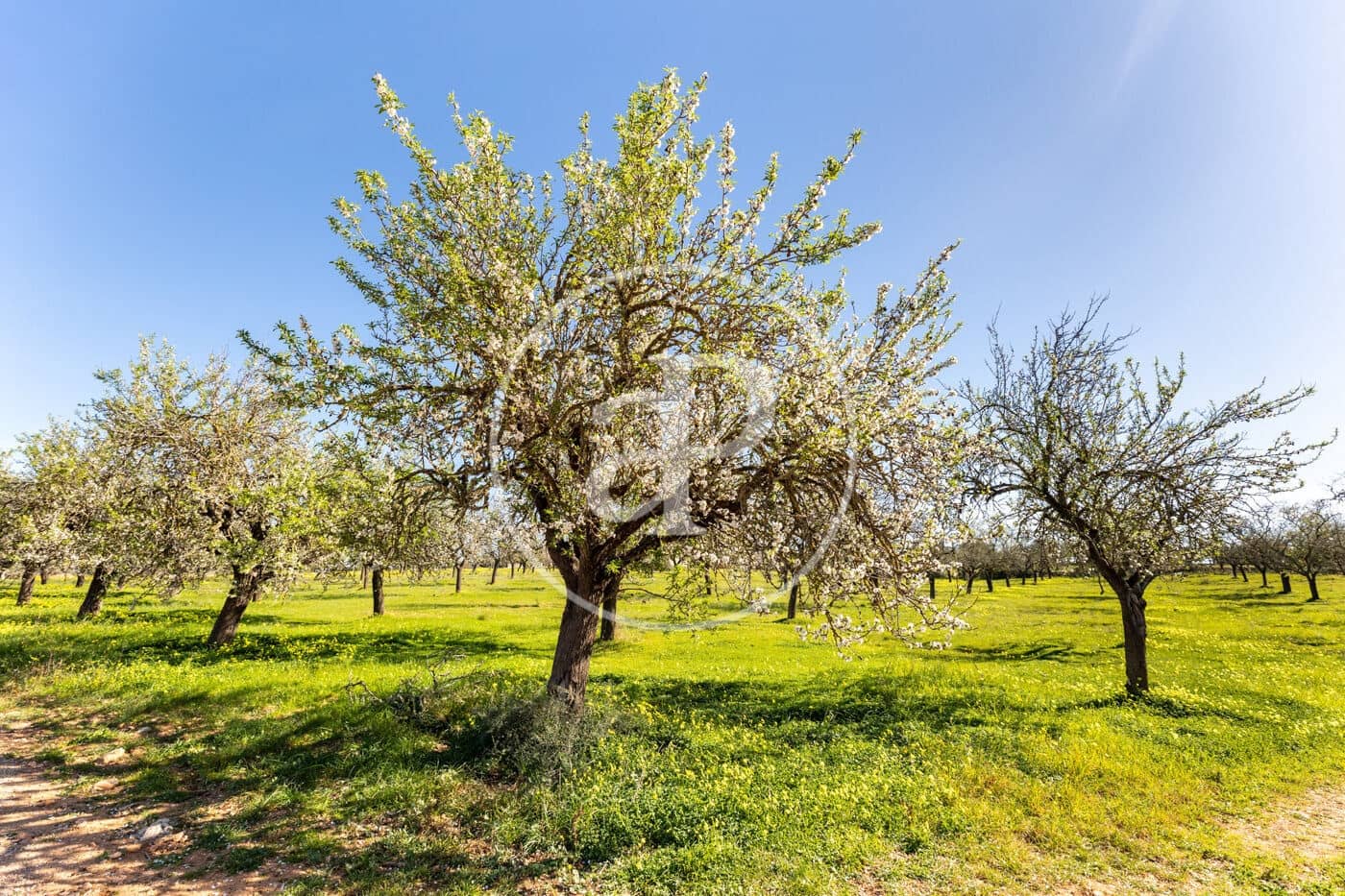 5 soveværelse Villa til salg i Sant Jordi med swimmingpool - € 1.290.000 (Ref: 8718927)