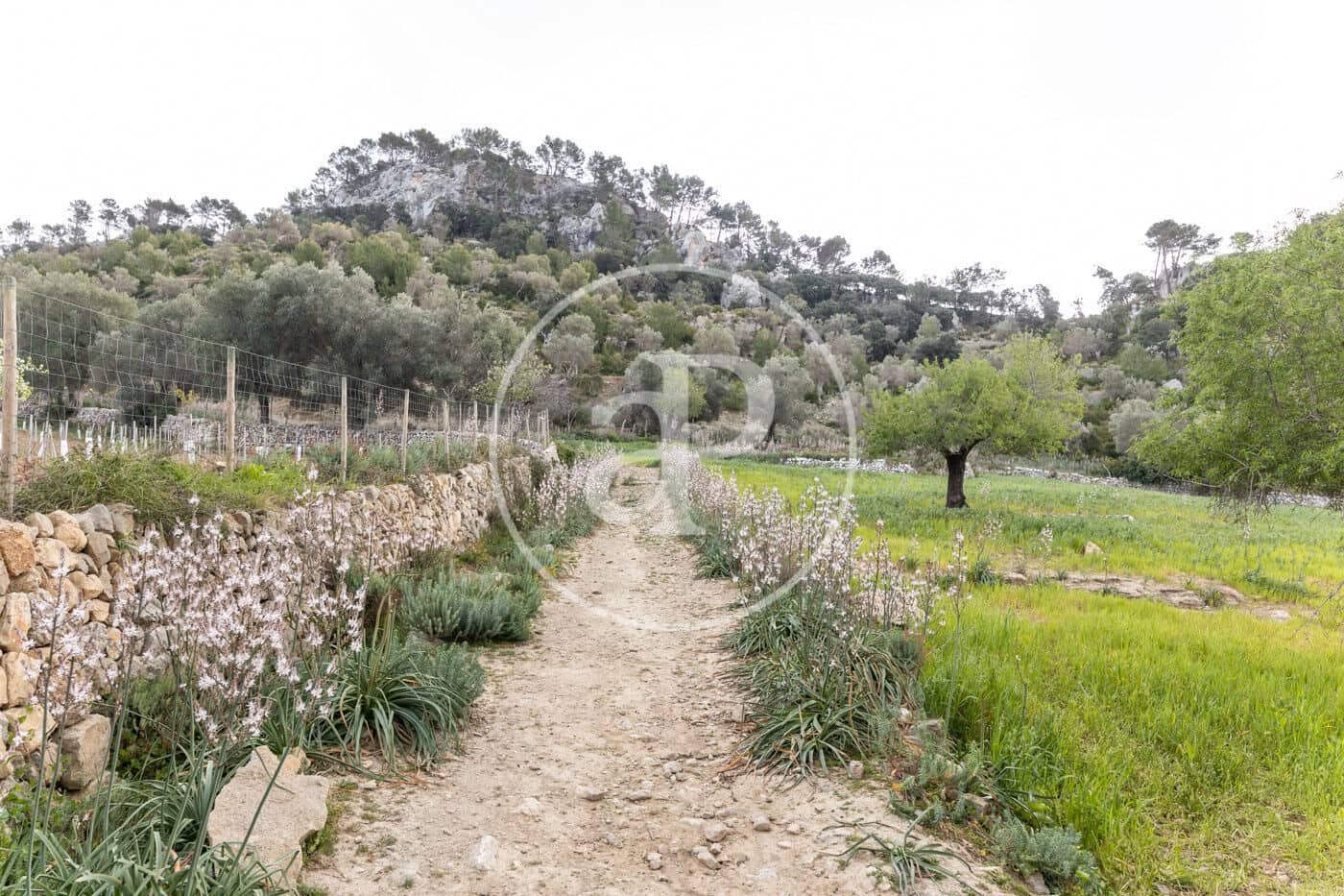 12 soveværelse Villa til salg i Puigpunyent - € 7.500.000 (Ref: 8718951)