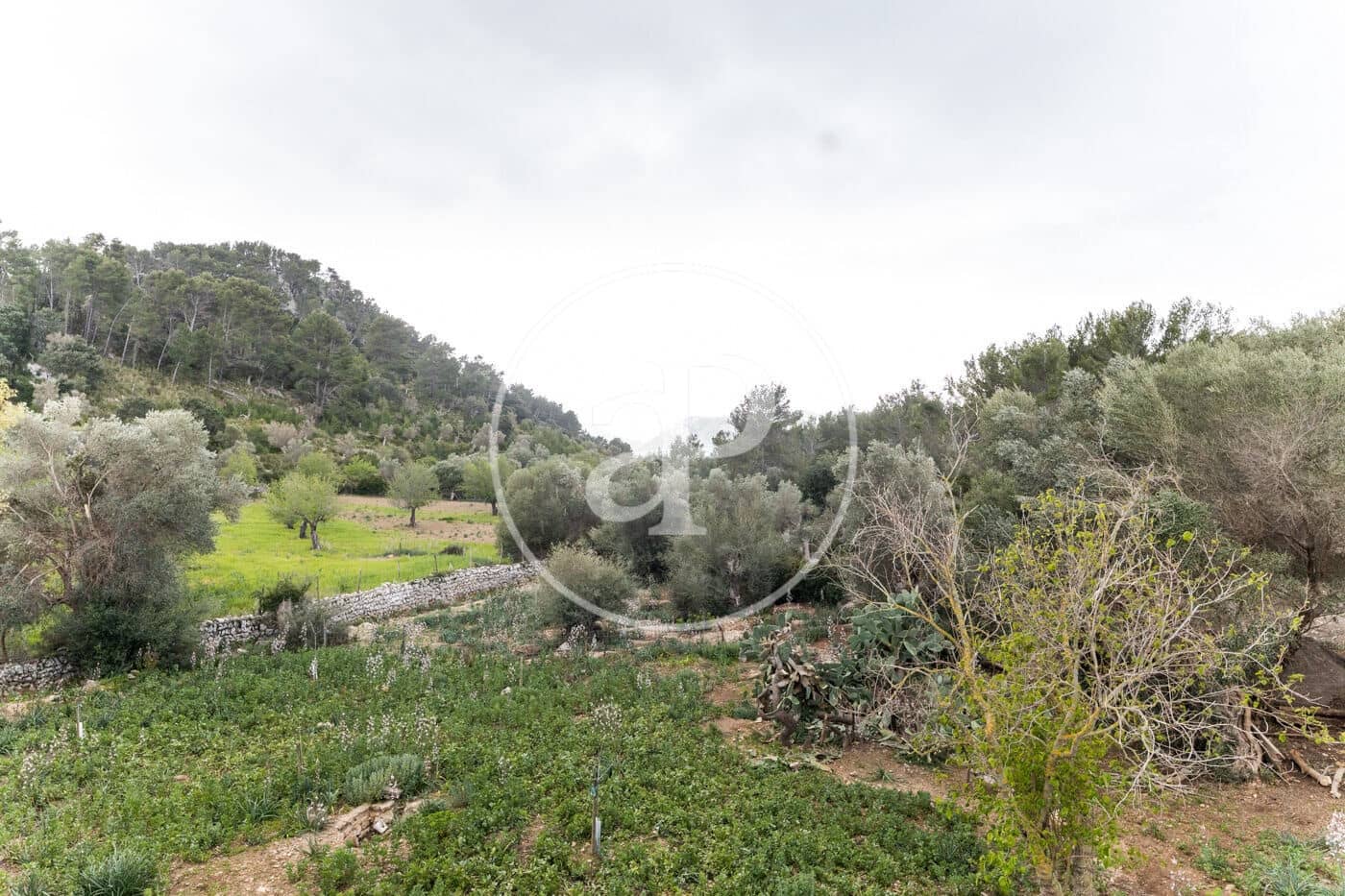 12 soveværelse Villa til salg i Puigpunyent - € 7.500.000 (Ref: 8718951)