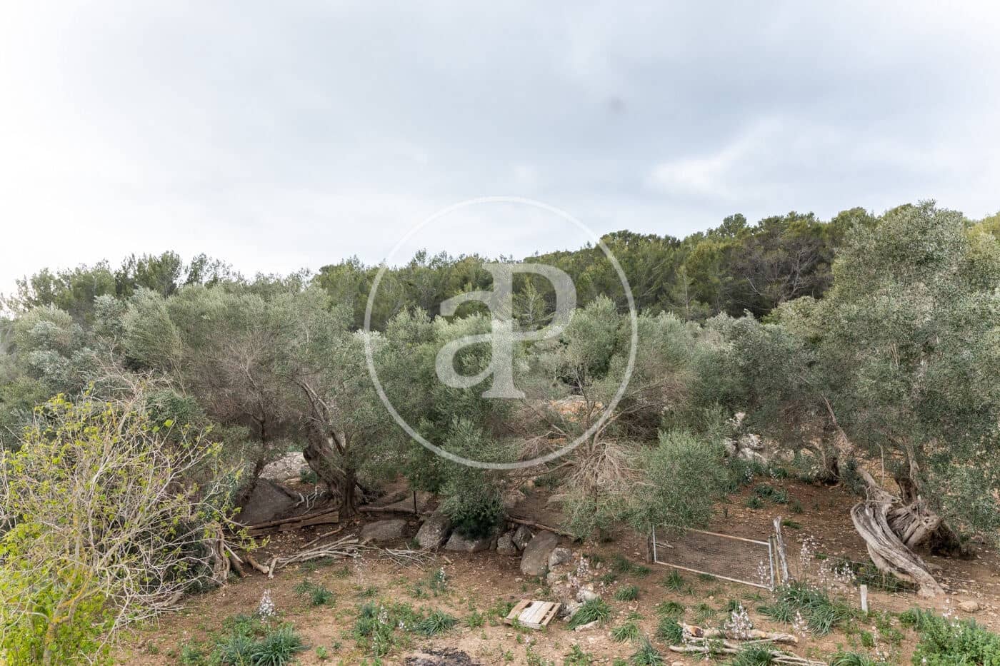 12 soveværelse Villa til salg i Puigpunyent - € 7.500.000 (Ref: 8718951)