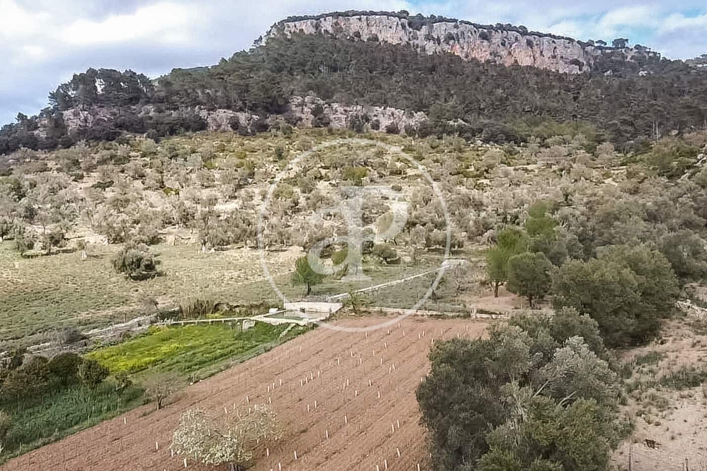 12 soveværelse Villa til salg i Puigpunyent - € 7.500.000 (Ref: 8718951)