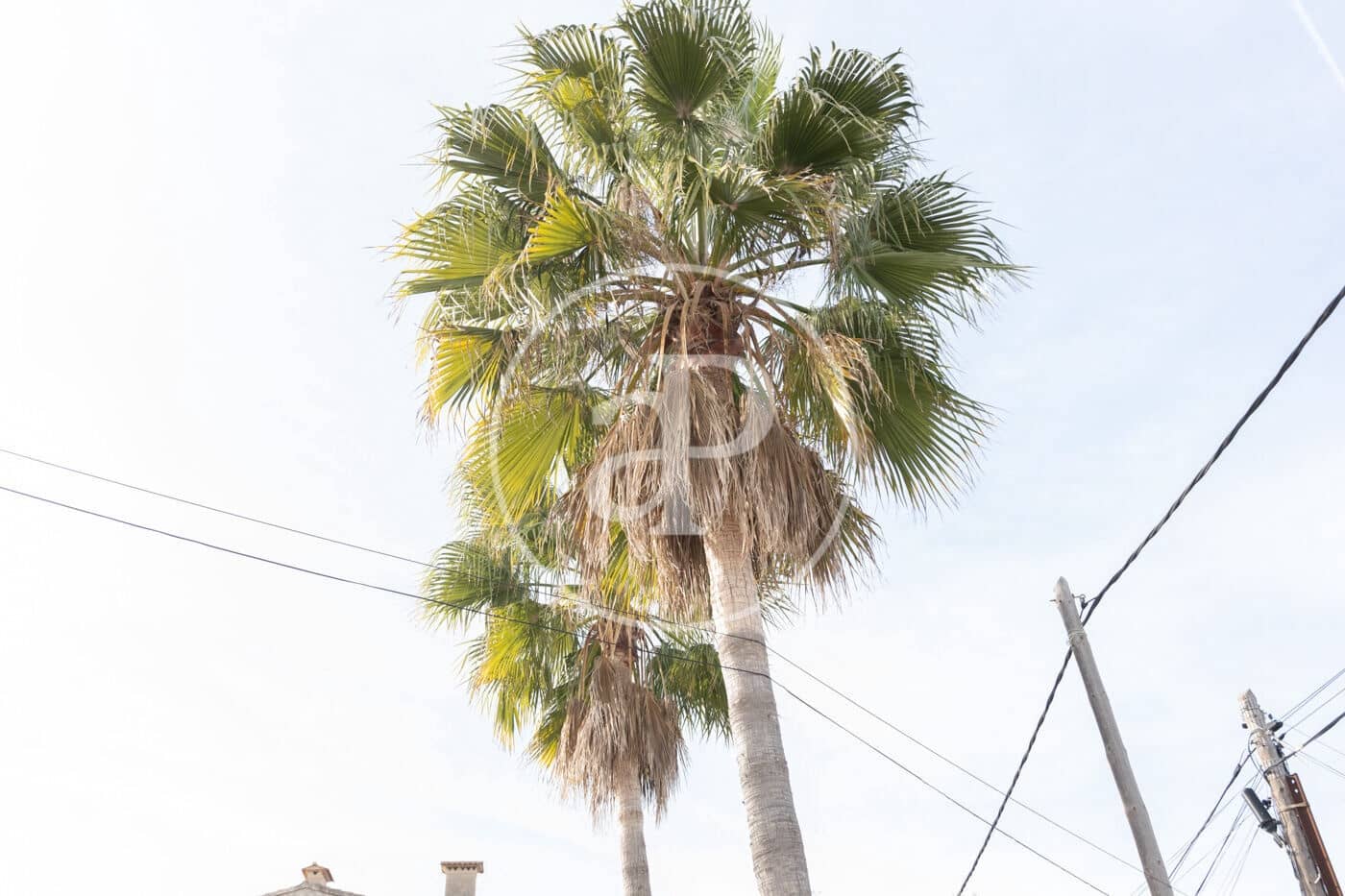 4 slaapkamer Villa te koop in Son Serra de Marina - € 1.100.000 (Ref: 8718959)