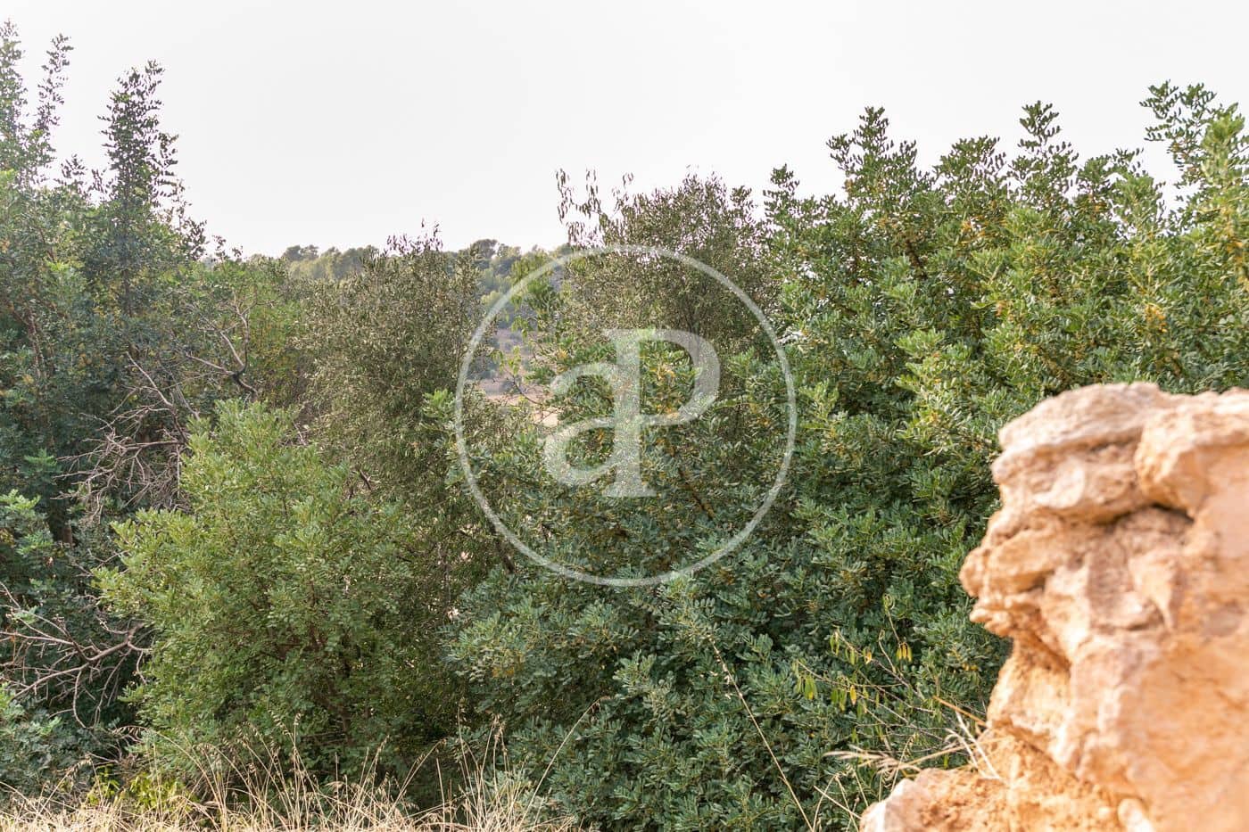 Grunde uden byggetilladelser til salg i Bunyola - € 350.000 (Ref: 8718973)