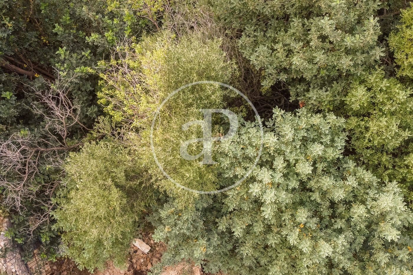 Grunde uden byggetilladelser til salg i Bunyola - € 350.000 (Ref: 8718973)