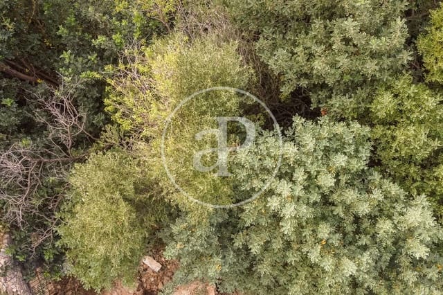 Ubebygd land til salgs i Bunyola - € 350 000 (Ref: 8718973)