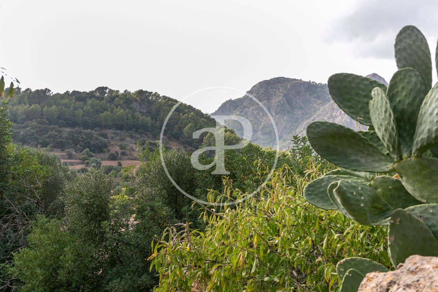 Grunde uden byggetilladelser til salg i Bunyola - € 350.000 (Ref: 8718973)