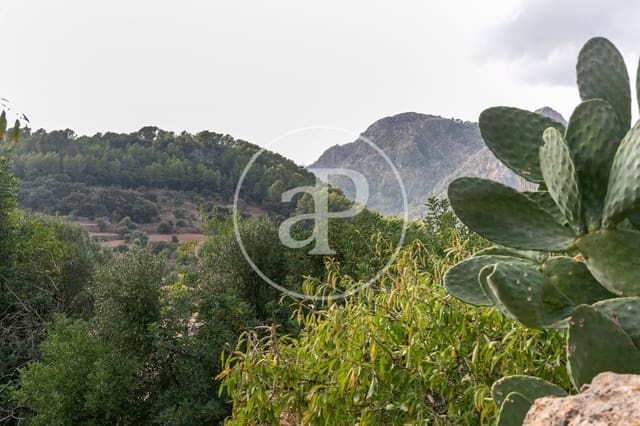 Ubebygd land til salgs i Bunyola - € 350 000 (Ref: 8718973)