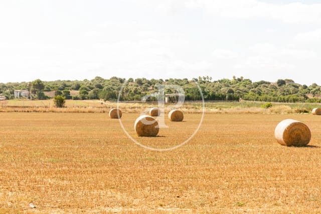 8 soverom Villa til salgs i Sant Jordi, Palma de Mallorca - € 2 200 000 (Ref: 8718978)