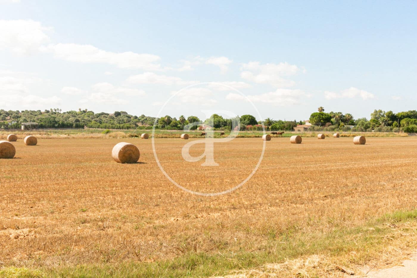 8 soverom Villa til salgs i Sant Jordi - € 2 200 000 (Ref: 8718978)